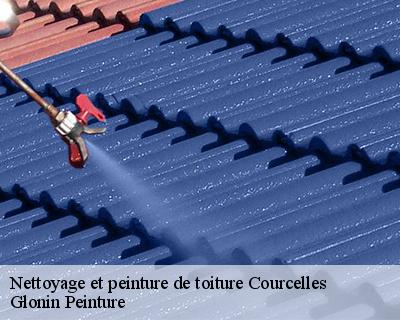 Nettoyage et peinture de toiture  45300
