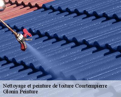 Nettoyage et peinture de toiture  45490