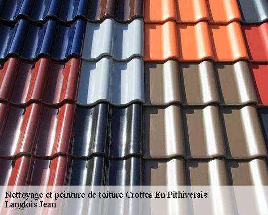 Nettoyage et peinture de toiture  crottes-en-pithiverais-45170 Langlois Jean