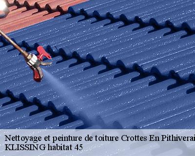 Nettoyage et peinture de toiture crottes-en-pithiverais-45170 KLISSING habitat 45