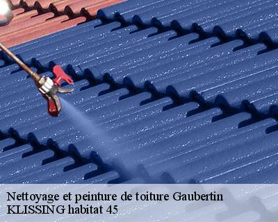 Nettoyage et peinture de toiture gaubertin-45340 KLISSING habitat 45