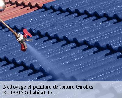 Nettoyage et peinture de toiture girolles-45120 KLISSING habitat 45