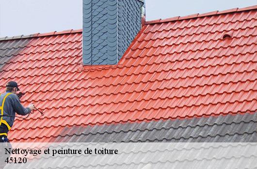 Nettoyage et peinture de toiture 45120