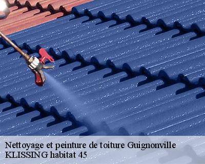 Nettoyage et peinture de toiture  guignonville-45480 Langlois Jean