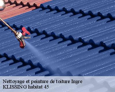 Nettoyage et peinture de toiture ingre-45140 KLISSING habitat 45