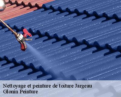 Nettoyage et peinture de toiture  45150