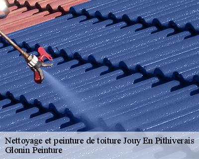 Nettoyage et peinture de toiture  45480