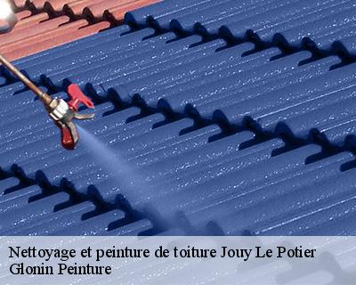 Nettoyage et peinture de toiture  45370