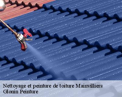 Nettoyage et peinture de toiture  45330