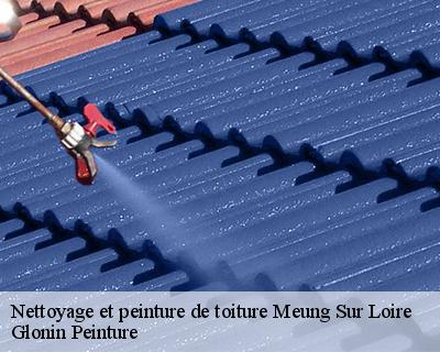 Nettoyage et peinture de toiture  45130