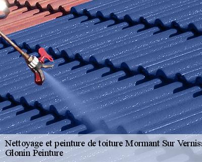 Nettoyage et peinture de toiture  45700