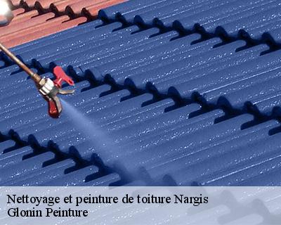 Nettoyage et peinture de toiture  45210