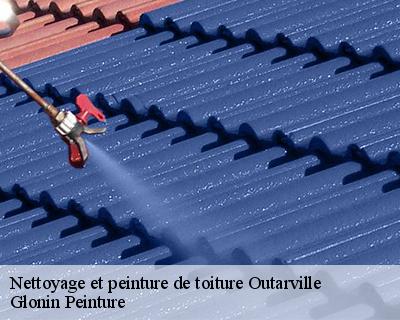 Nettoyage et peinture de toiture  45480