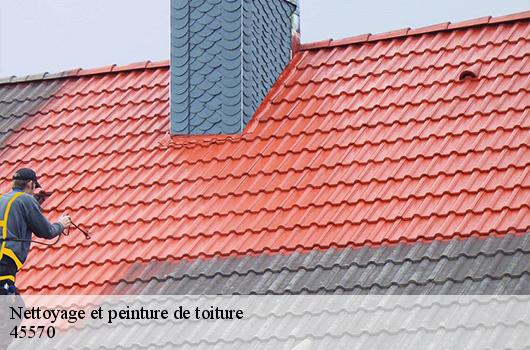 Nettoyage et peinture de toiture  45570