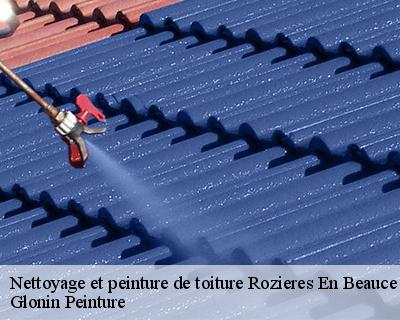 Nettoyage et peinture de toiture  45130
