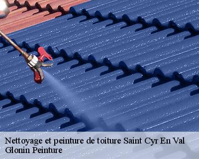 Nettoyage et peinture de toiture  45590