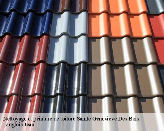 Nettoyage et peinture de toiture  sainte-genevieve-des-bois-45230 Langlois Jean