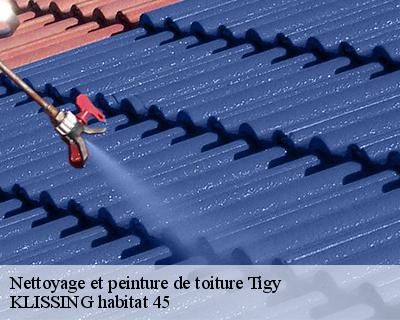 Nettoyage et peinture de toiture  tigy-45510 KLISSING habitat 45