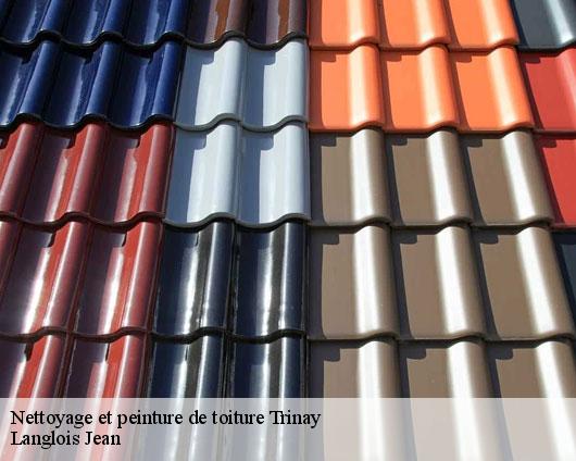 Nettoyage et peinture de toiture  trinay-45410 Langlois Jean