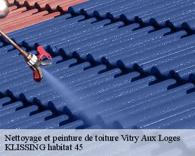 Nettoyage et peinture de toiture vitry-aux-loges-45530 KLISSING habitat 45