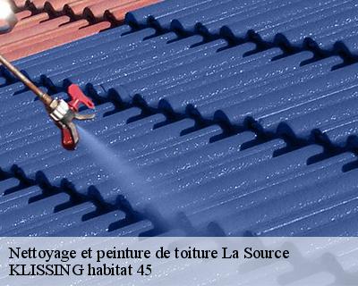 Nettoyage et peinture de toiture  la-source-45100 KLISSING habitat 45