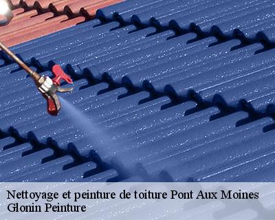 Nettoyage et peinture de toiture  45430