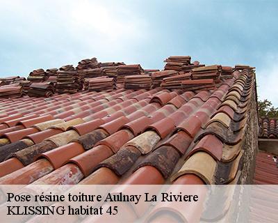 Pose résine toiture aulnay-la-riviere-45390 KLISSING habitat 45
