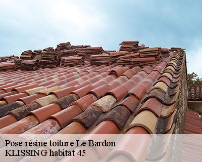 Pose résine toiture le-bardon-45130 KLISSING habitat 45