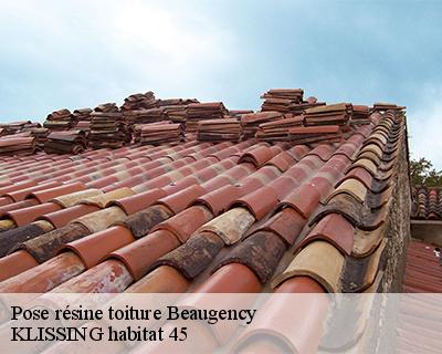 Pose résine toiture beaugency-45190 KLISSING habitat 45