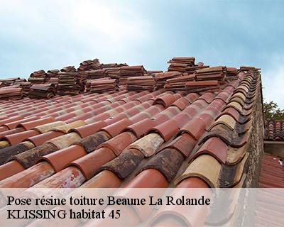 Pose résine toiture beaune-la-rolande-45340 KLISSING habitat 45
