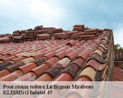 Pose résine toiture le-bignon-mirabeau-45210 KLISSING habitat 45