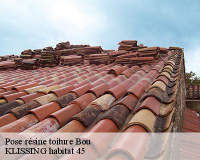Pose résine toiture bou-45430 KLISSING habitat 45