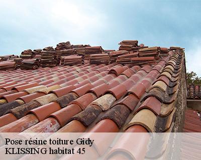 Pose résine toiture gidy-45520 KLISSING habitat 45