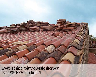 Pose résine toiture malesherbes-45330 KLISSING habitat 45