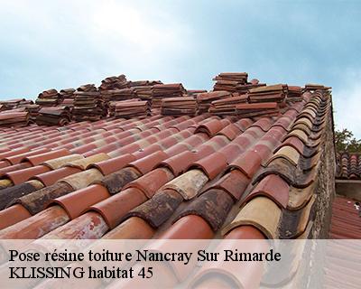 Pose résine toiture nancray-sur-rimarde-45340 KLISSING habitat 45