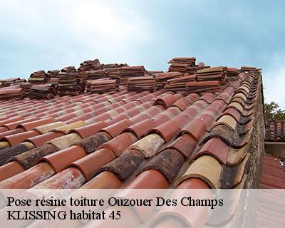 Pose résine toiture ouzouer-des-champs-45290 KLISSING habitat 45