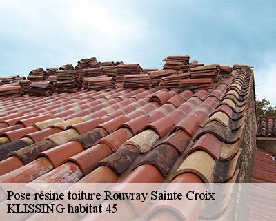 Pose résine toiture rouvray-sainte-croix-45310 KLISSING habitat 45