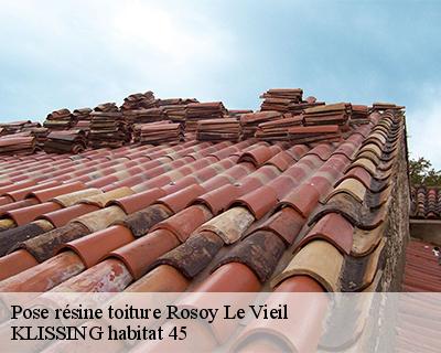 Pose résine toiture rosoy-le-vieil-45210 KLISSING habitat 45