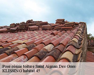 Pose résine toiture saint-aignan-des-gues-45460 KLISSING habitat 45
