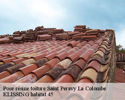 Pose résine toiture  saint-peravy-la-colombe-45310 KLISSING habitat 45