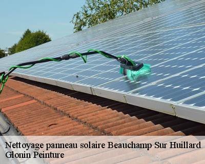 Nettoyage panneau solaire  45270