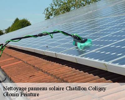 Nettoyage panneau solaire  45230