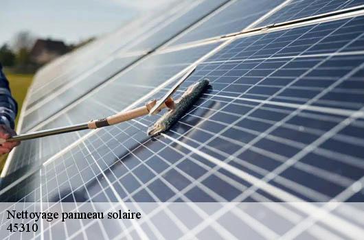 Nettoyage panneau solaire 45310