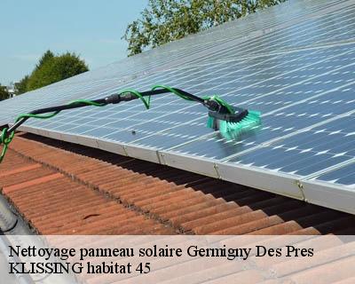 Nettoyage panneau solaire germigny-des-pres-45110 KLISSING habitat 45