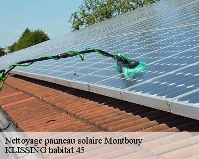 Nettoyage panneau solaire montbouy-45230 KLISSING habitat 45