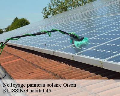 Nettoyage panneau solaire oison-45170 KLISSING habitat 45