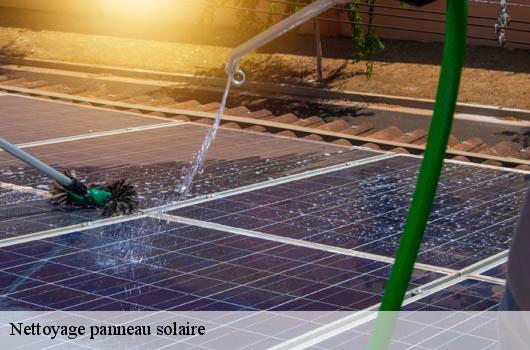 Nettoyage panneau solaire