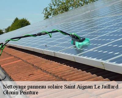 Nettoyage panneau solaire  45600